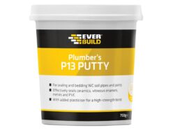 Plumber’s Putty 750g