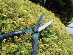 Countryman Hedge Shear 250mm (10in)