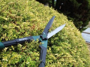 Countryman Hedge Shear 250mm (10in)