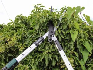 Countryman Telescopic Hedge Shear 12in Blade