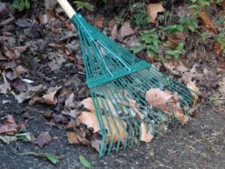 Countryman Leaf Rake 22 Flat Tines