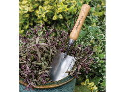 Stainless Steel Hand Trowel, FSC®