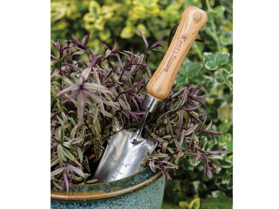 Stainless Steel Hand Transplanting Trowel, FSC® - Image 2