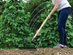 Carbon Steel Long Handled Soil Rake, FSC®