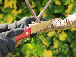 Turbo Folding Saw