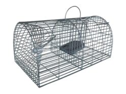 Cage Traps