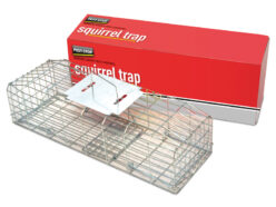 Squirrel Cage Trap 24in