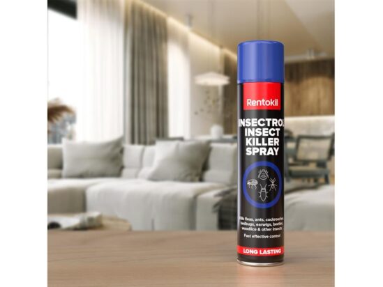 Insectrol Insect Killer Spray 300ml - Image 3