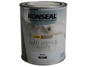 6 Year Anti Mould Paint White Matt 750ml