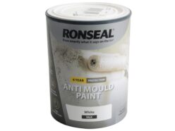 6 Year Anti Mould Paint White Silk 750ml