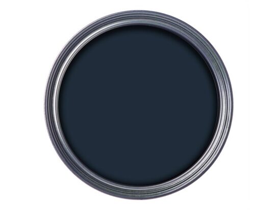 Garden Paint Blackbird 250ml - Image 2