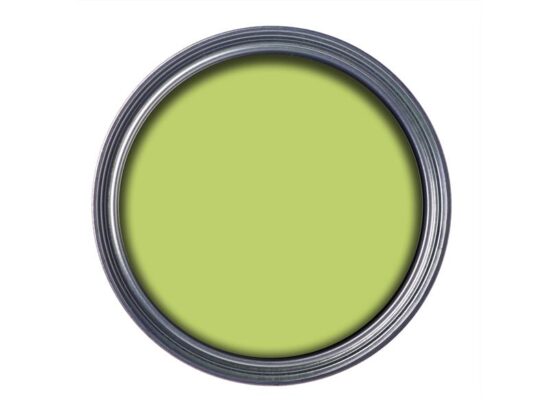 Garden Paint Lime Zest 250ml - Image 2