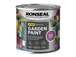 Garden Paint Purple Berry 250ml