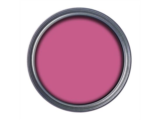 Garden Paint Pink Jasmine 250ml - Image 2