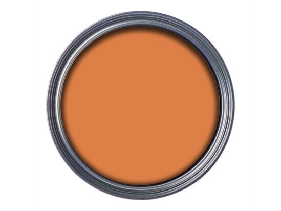 Garden Paint Sunburst 250ml - Image 5