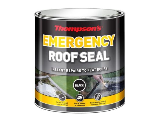 Thompson's Emergency Roof Seal 2.5 litre