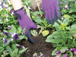 TGL273S Weed Master Plus Ladies’ Gloves Purple – Small