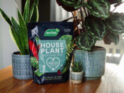 Houseplant Potting Mix 4 litre