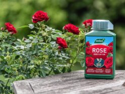 Rose High Performance Liquid Plant Food 1 litre