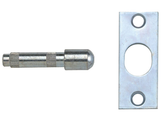 P125 Hinge Bolts Zinc